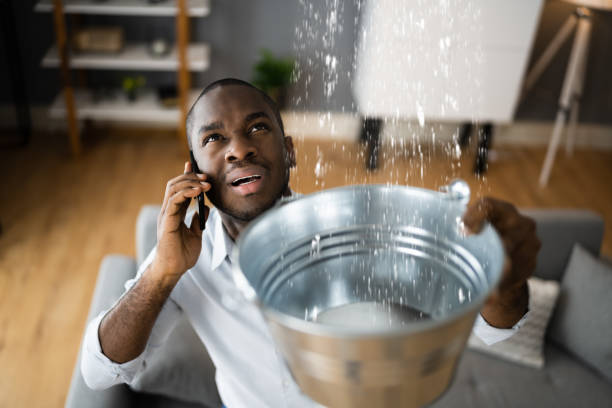 Best Ceiling water damage repair  in Hollywood Park, TX