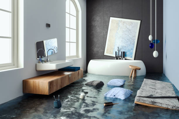 Best Water damage cleanup near me  in Hollywood Park, TX