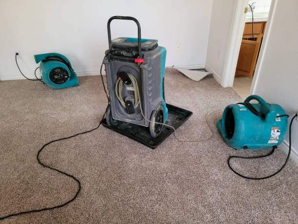 Best Water damage restoration insurance claims  in Hollywood Park, TX