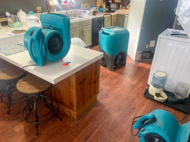 Best Residential water damage restoration  in Hollywood Park, TX