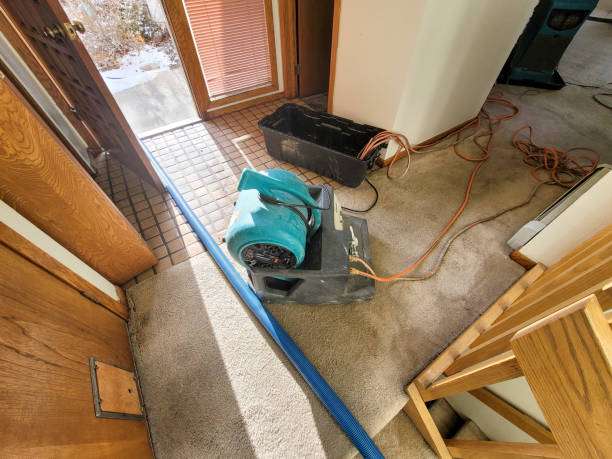 Best Water damage restoration near me  in Hollywood Park, TX
