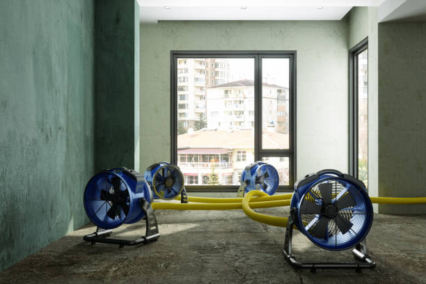 Best Emergency water damage restoration  in Hollywood Park, TX